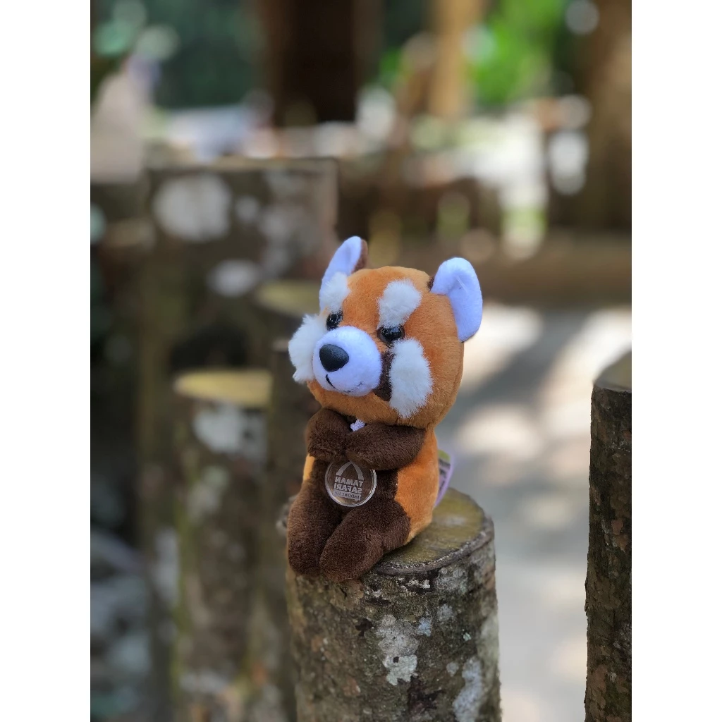 id 11134207 7r98x lmy1pjaeek5q33